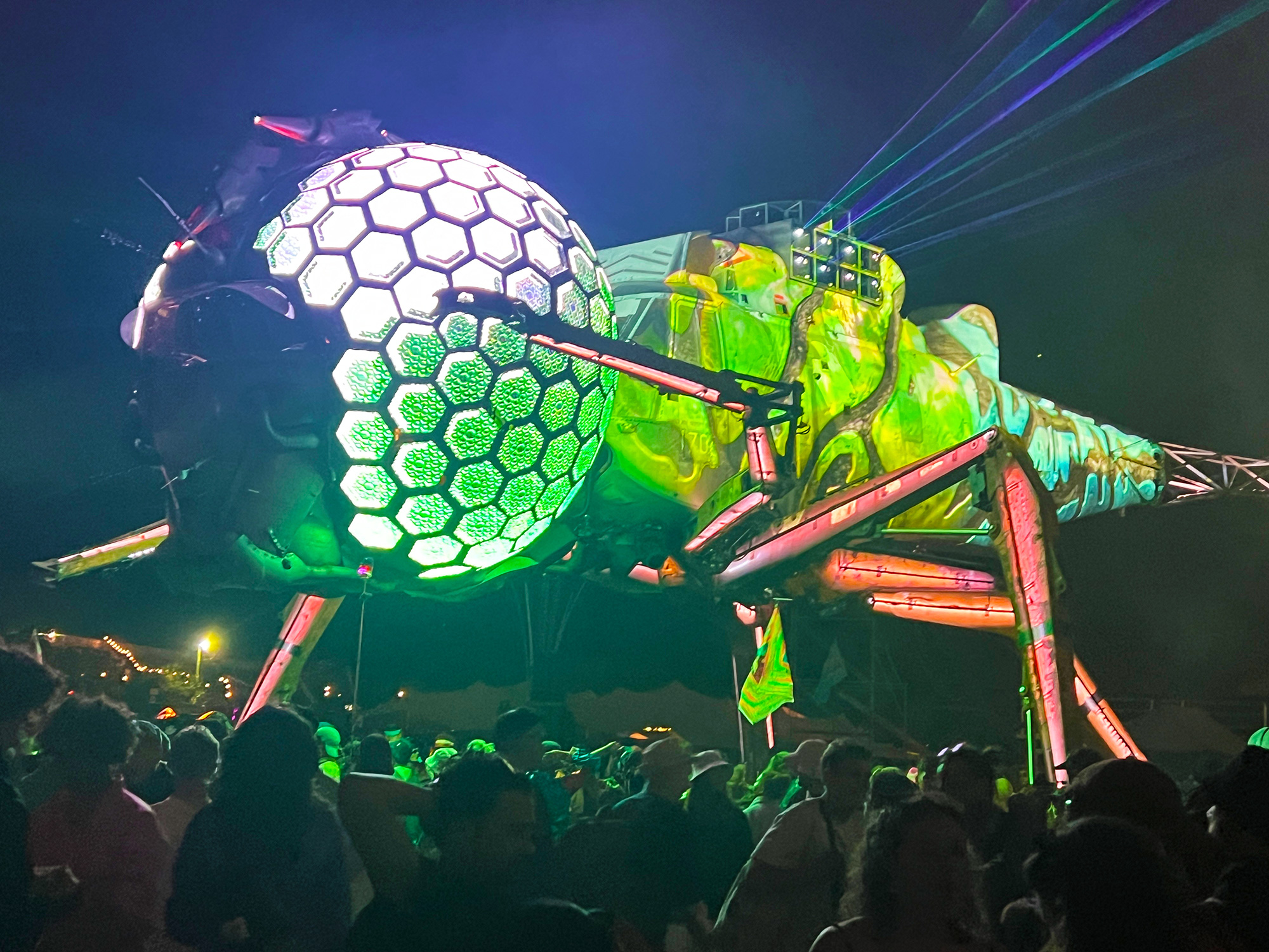 dragonfly wedfest at glastonbury festival 2024